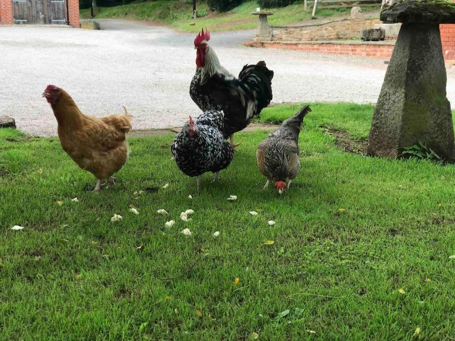 Stunning Rural Apartment, Walking Distance To Three Choirs Vineyard & Restaurant, Gloucestershire Newent エクステリア 写真